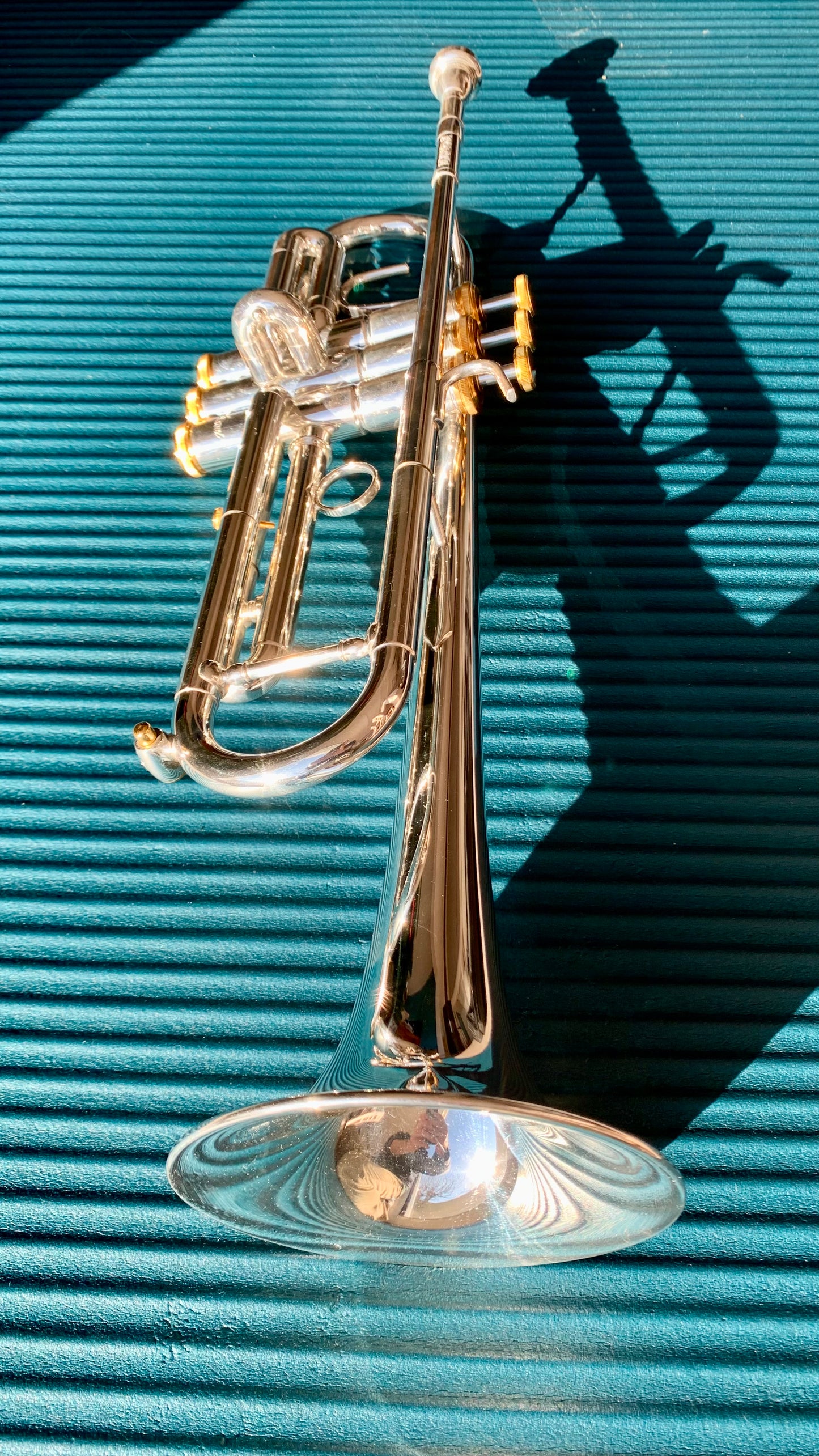 Trompette Sib / Ut Stomvi