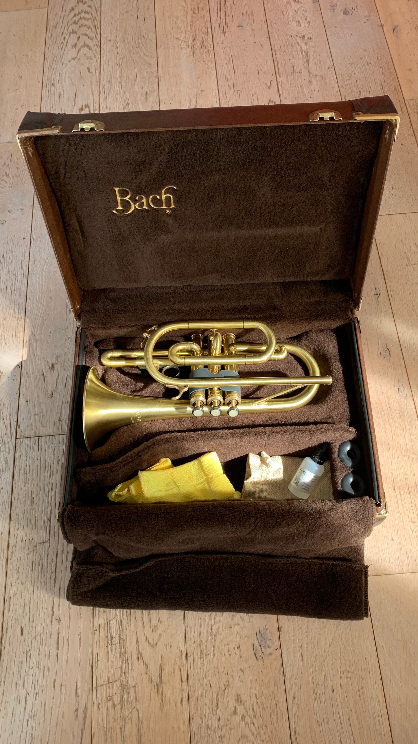 Cornet Gaudet Sib