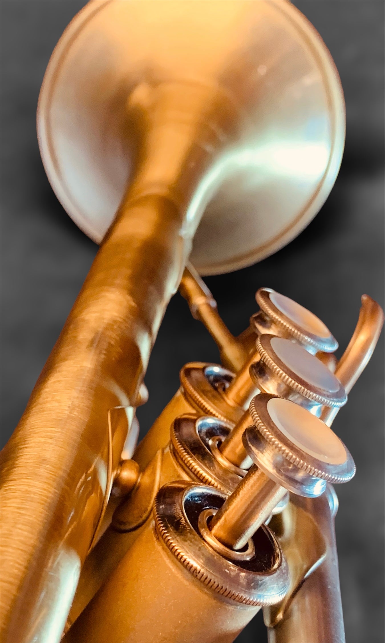 Trompette Henri Selmer Ut – Image 6