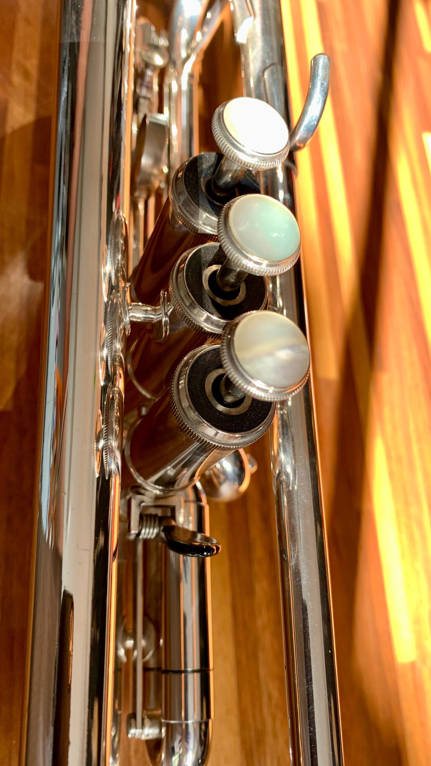 Trompette Getzen Capri SiB – Image 8